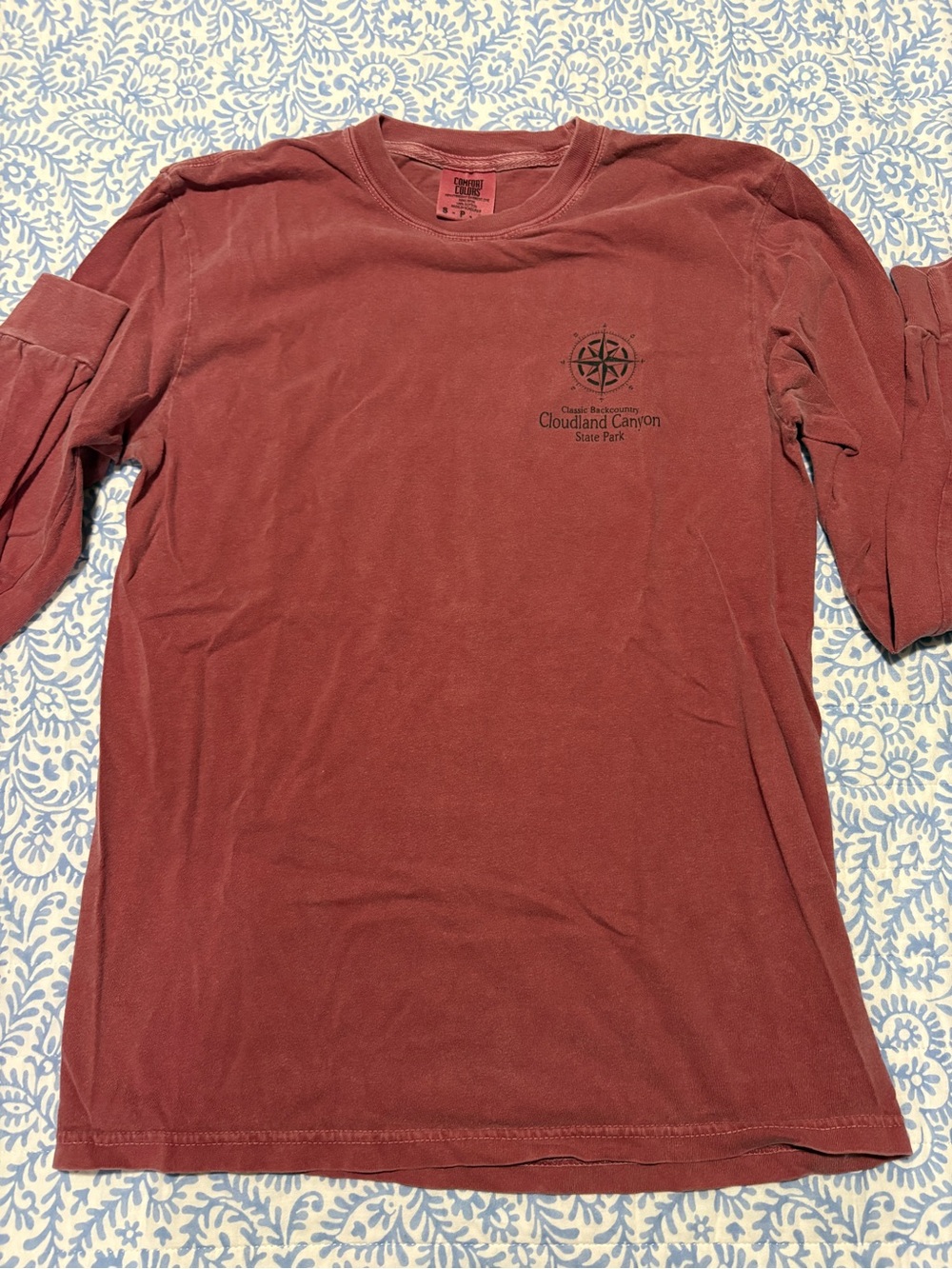 Comfort Colors Long Sleeve Crewneck T-Shirt in Rust
